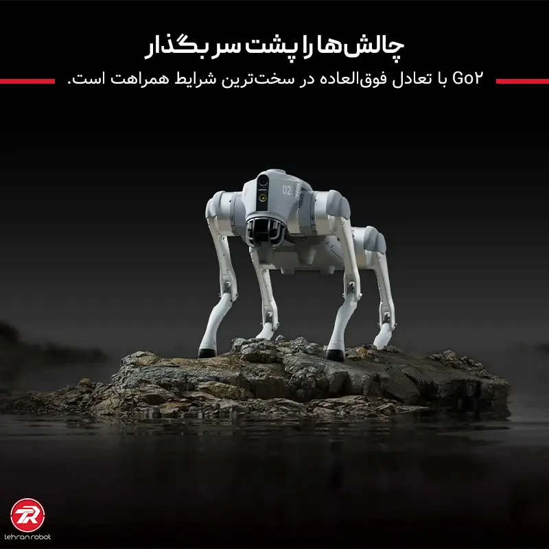 با سگ هوشمند رباتیک Unitree Go2 چالش ها را پشت سر بگذار.